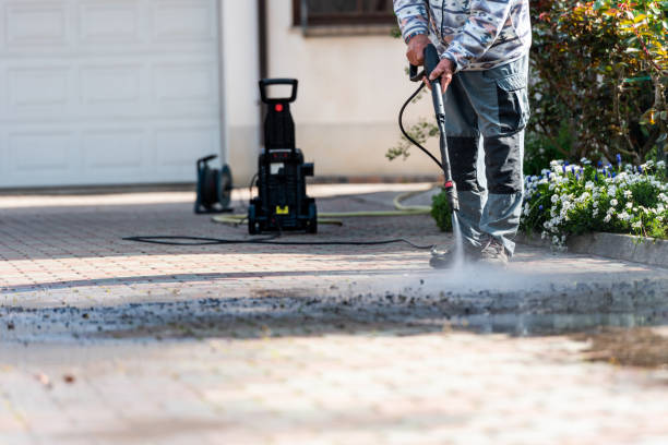 Best Power Washing Near Me  in Holualoa, HI