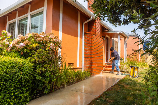 Best Deck Cleaning Services  in Holualoa, HI